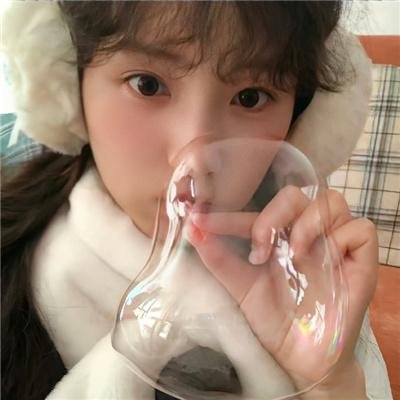 我的海獭先生